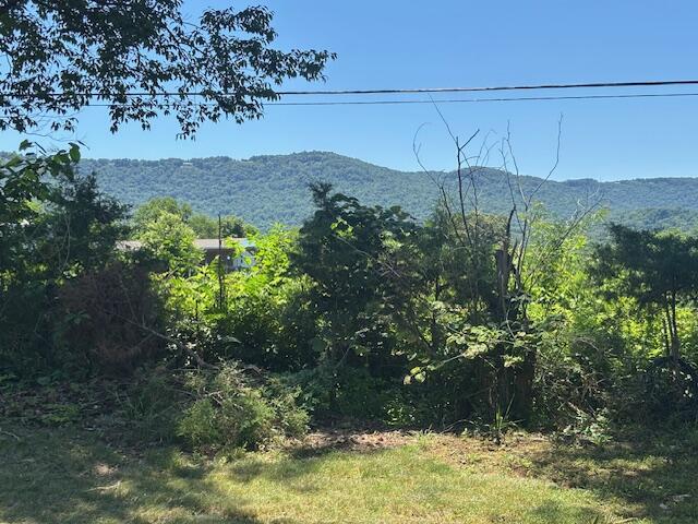194 Patton Road Pikeville, TN 37367 - Photo 30 of 34 IMG_0594