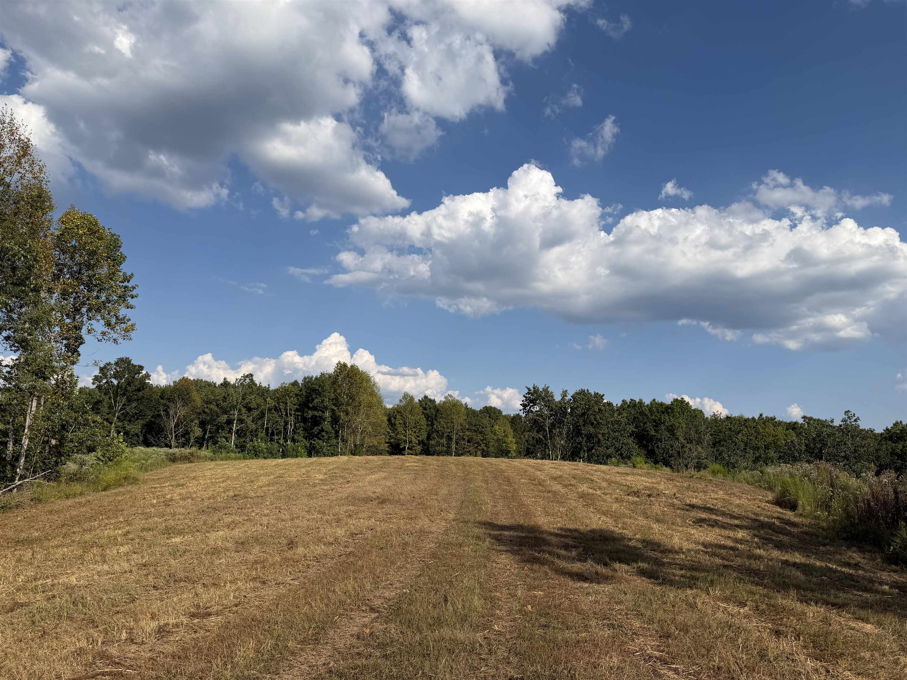 1960 Low Gap Road Sugar Tree, TN 38380 - Photo 8 of 35 Gallery Image 8
