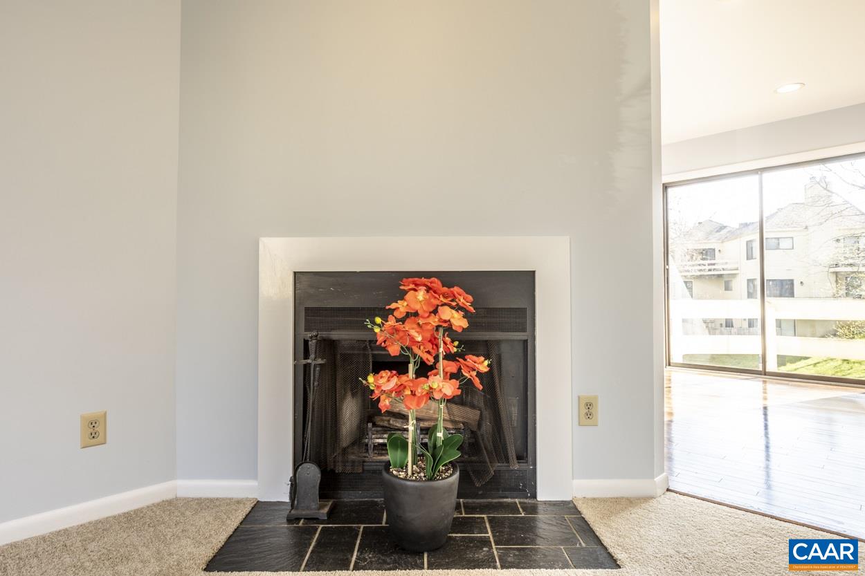 1216 Chatham Ridge Charlottesville, VA 22901 - Photo 1 of 37 Gallery Image 1