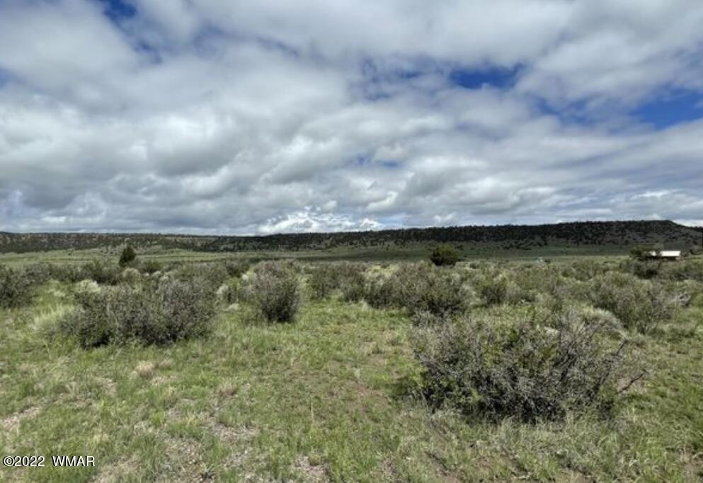 23-a Us 180th Street Springerville, AZ 85938 - Photo 3 of 8