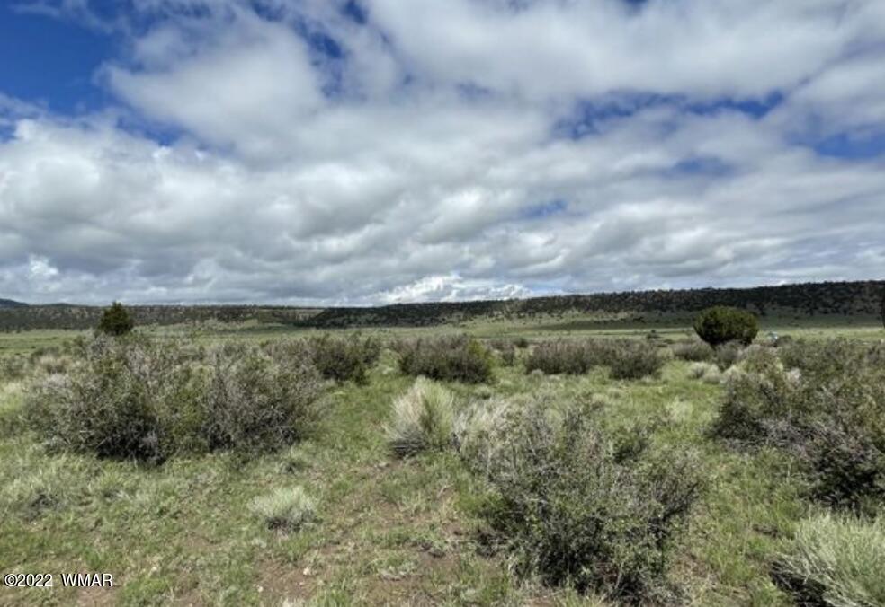 23-a Us 180th Street Springerville, AZ 85938 - Photo 4 of 8