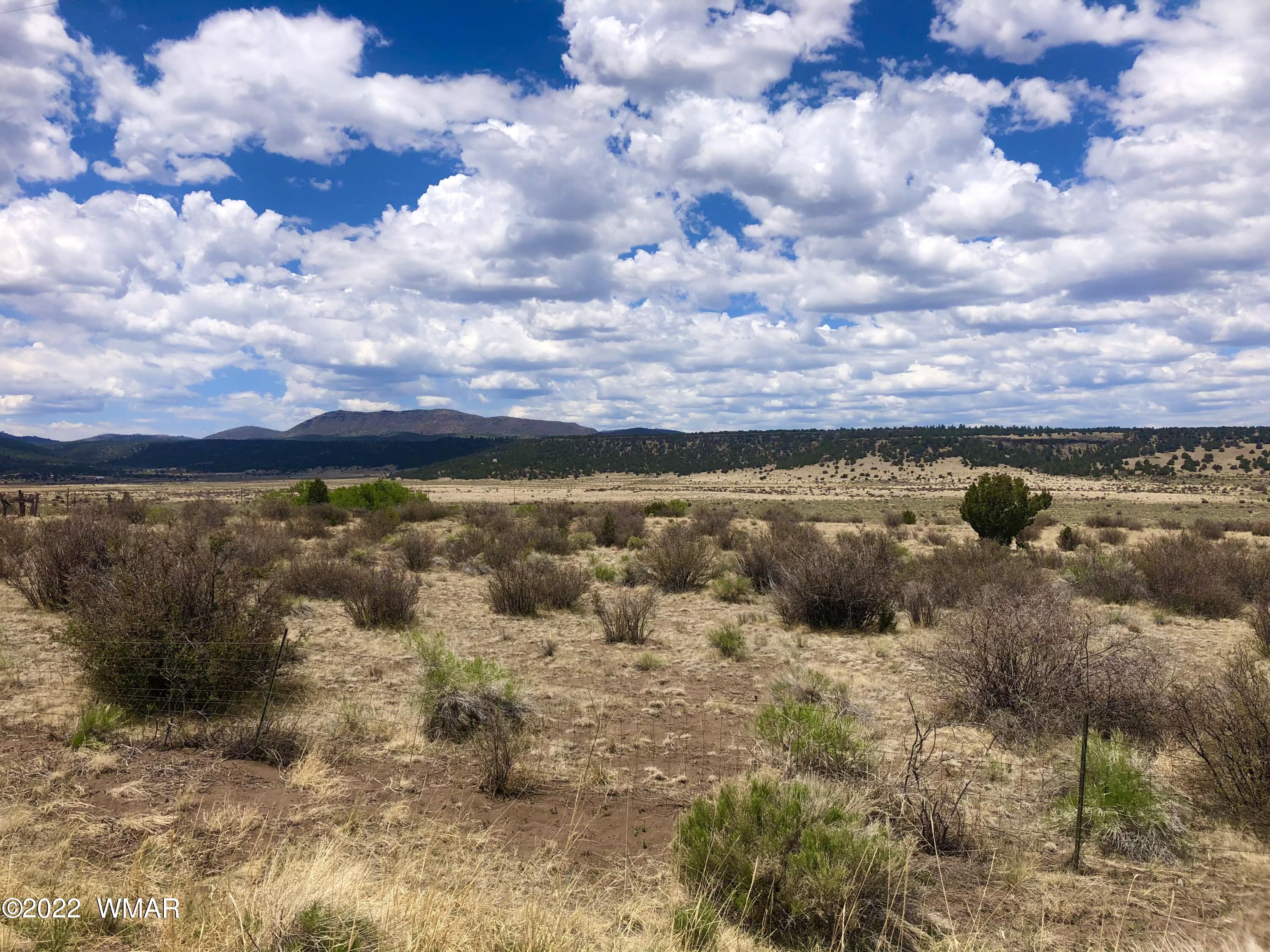 23-a Us 180th Street Springerville, AZ 85938 - Photo 6 of 8