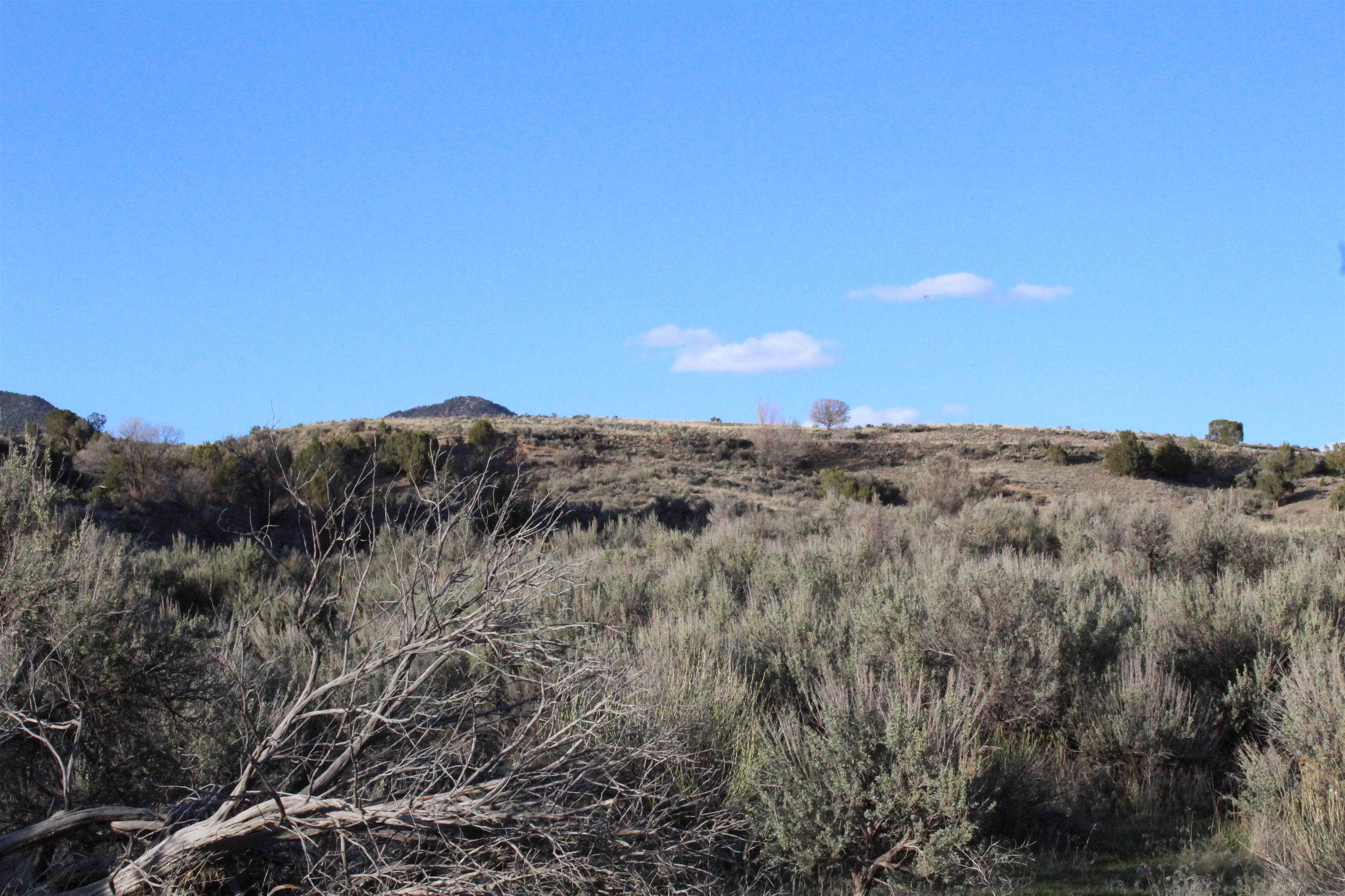 Tbd Grand Avenue Silt, CO 81652 - Photo 9 of 17