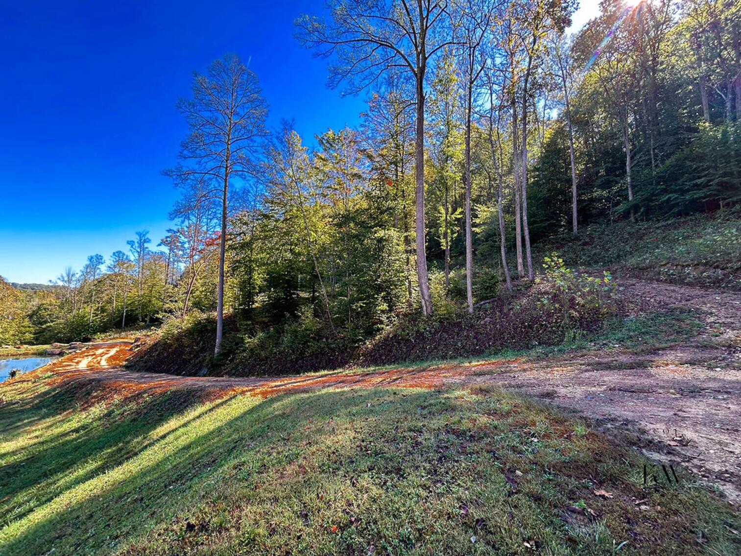 170 Birch Hollow Road Stanton, KY 40380 - Photo 9 of 25