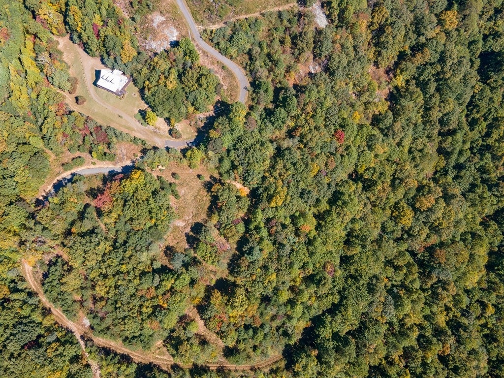 Lot 93 Reflections Point Trail, Unit 93 Fancy Gap, VA 24328 - Photo 6 of 92 Gallery Image 6