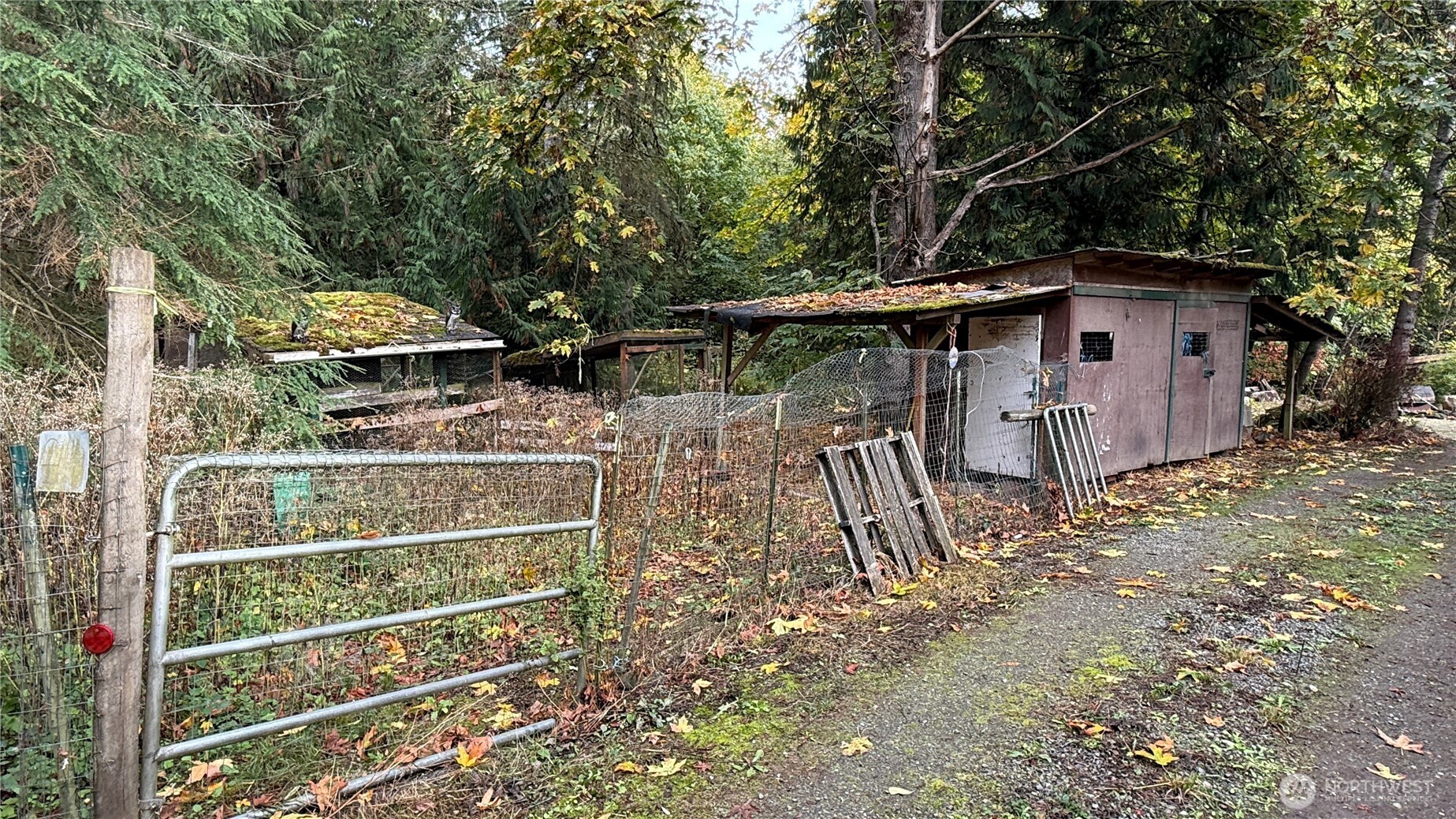 690 Naylor Creek Road Chimacum, WA 98325 - Photo 29 of 40 a front view of a house with a yard