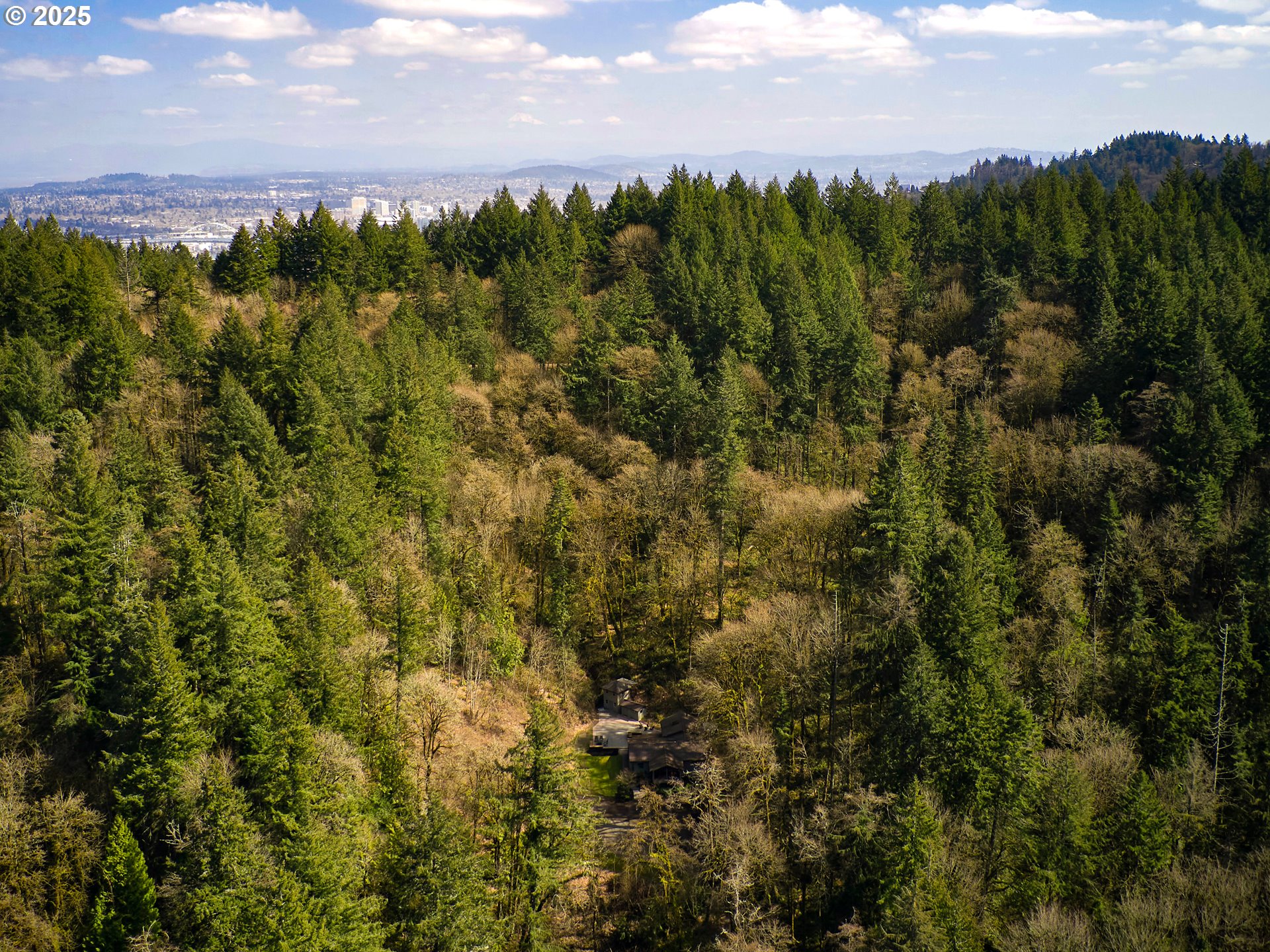 6125 Northwest Thompson Road Portland, OR 97210 - Photo 4 of 39 a view of a city with lush green forest