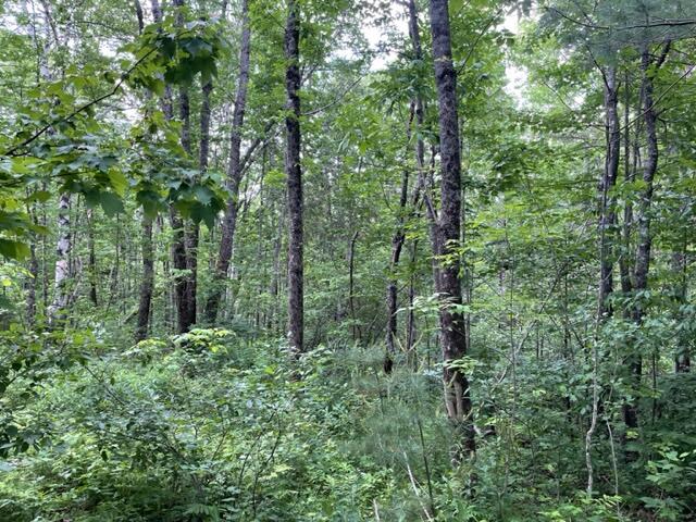 Mapr3-lot5 Stuart Road Moscow, ME 04920 - Photo 2 of 5 IMG_7305
