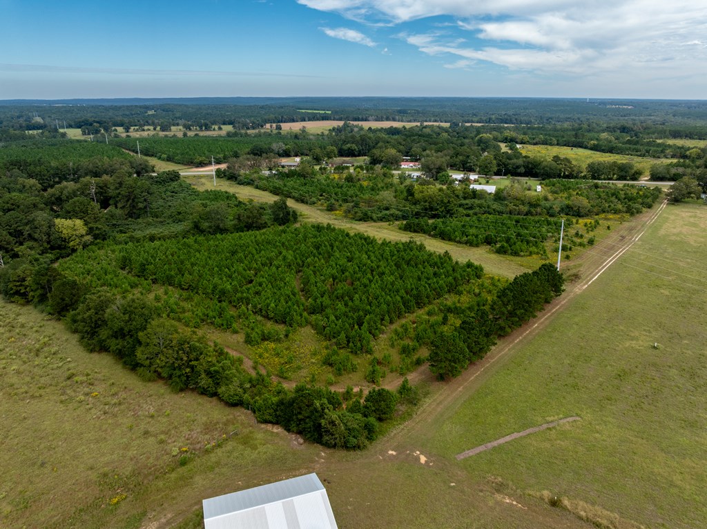 95 (columbia Rd) Road Abbeville, AL 36310 - Photo 35 of 41