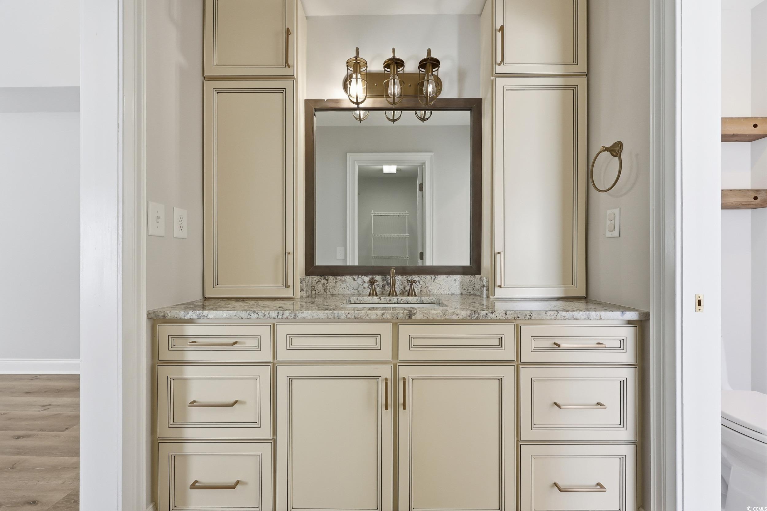 4337 State Highway 65 Conway, SC 29526 - Photo 18 of 39 Bathroom featuring vanity and light wood finished floors