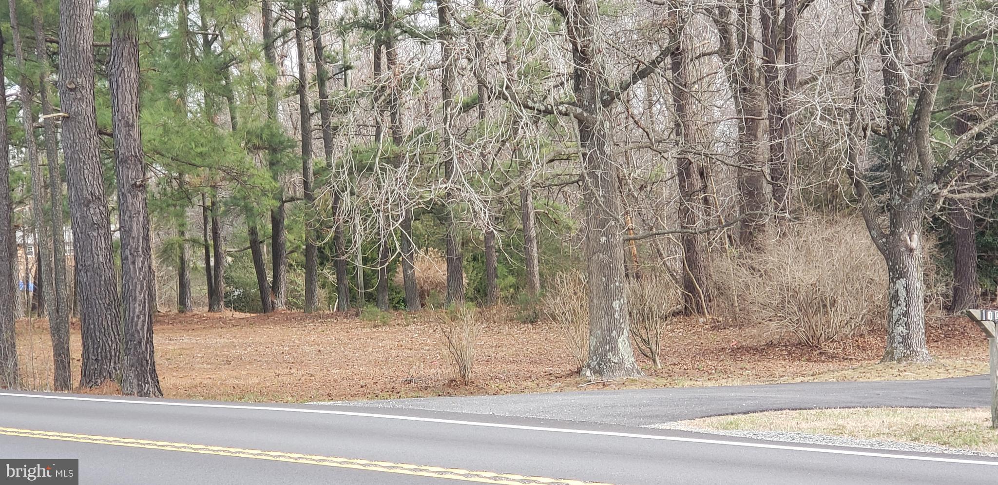 Adjacent Bonus Lot View 1