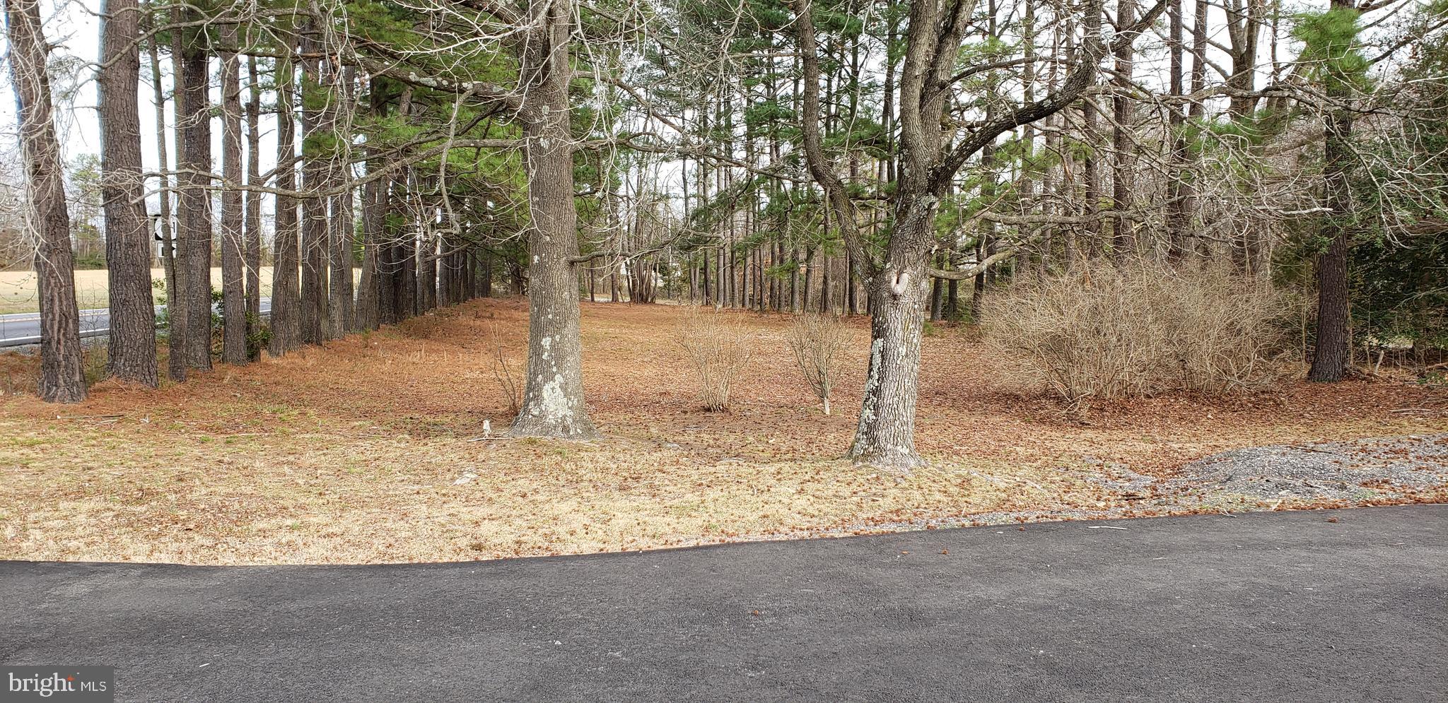 Adjacent Bonus Lot View 2