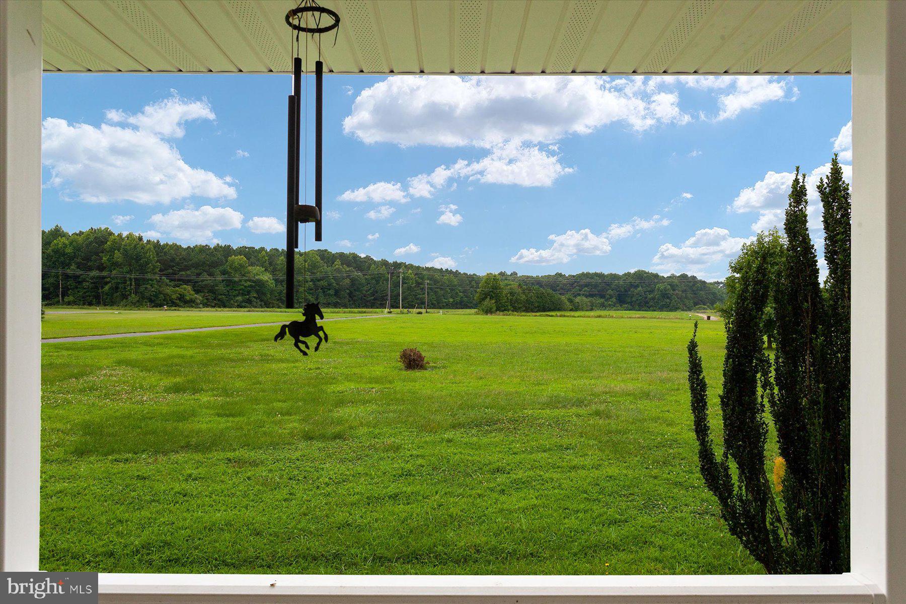 4805 Frazier Neck Road Preston, MD 21655 - Photo 4 of 49