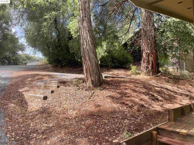 a view of a yard with trees