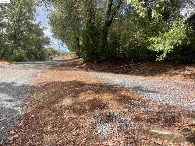 a view of backyard with green space