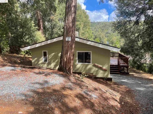 a view of a house with backyard and a tree