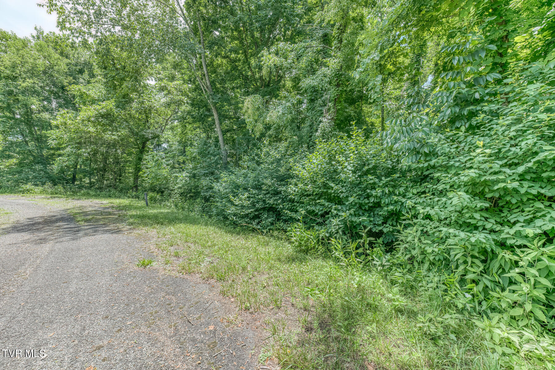 Lot 50 Dry Hill Road, Unit 50 Butler, TN 37640 - Photo 7 of 27 Lot 50, Redbud Cir-21