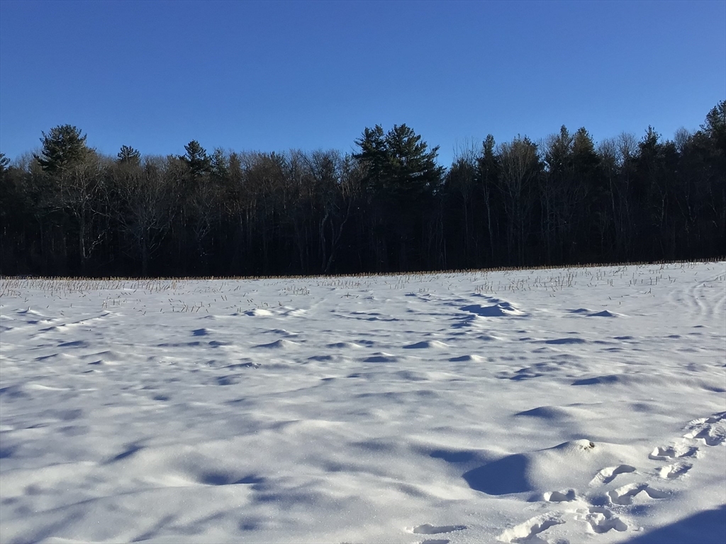 38 Emerald Road Rutland, MA 01543 - Photo 8 of 24 a view of yard