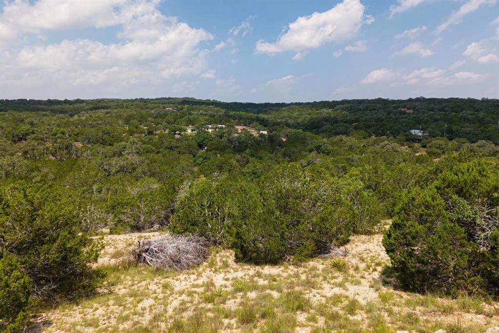 121 Spring Cove Dripping Springs, TX 78620 - Photo 38 of 40