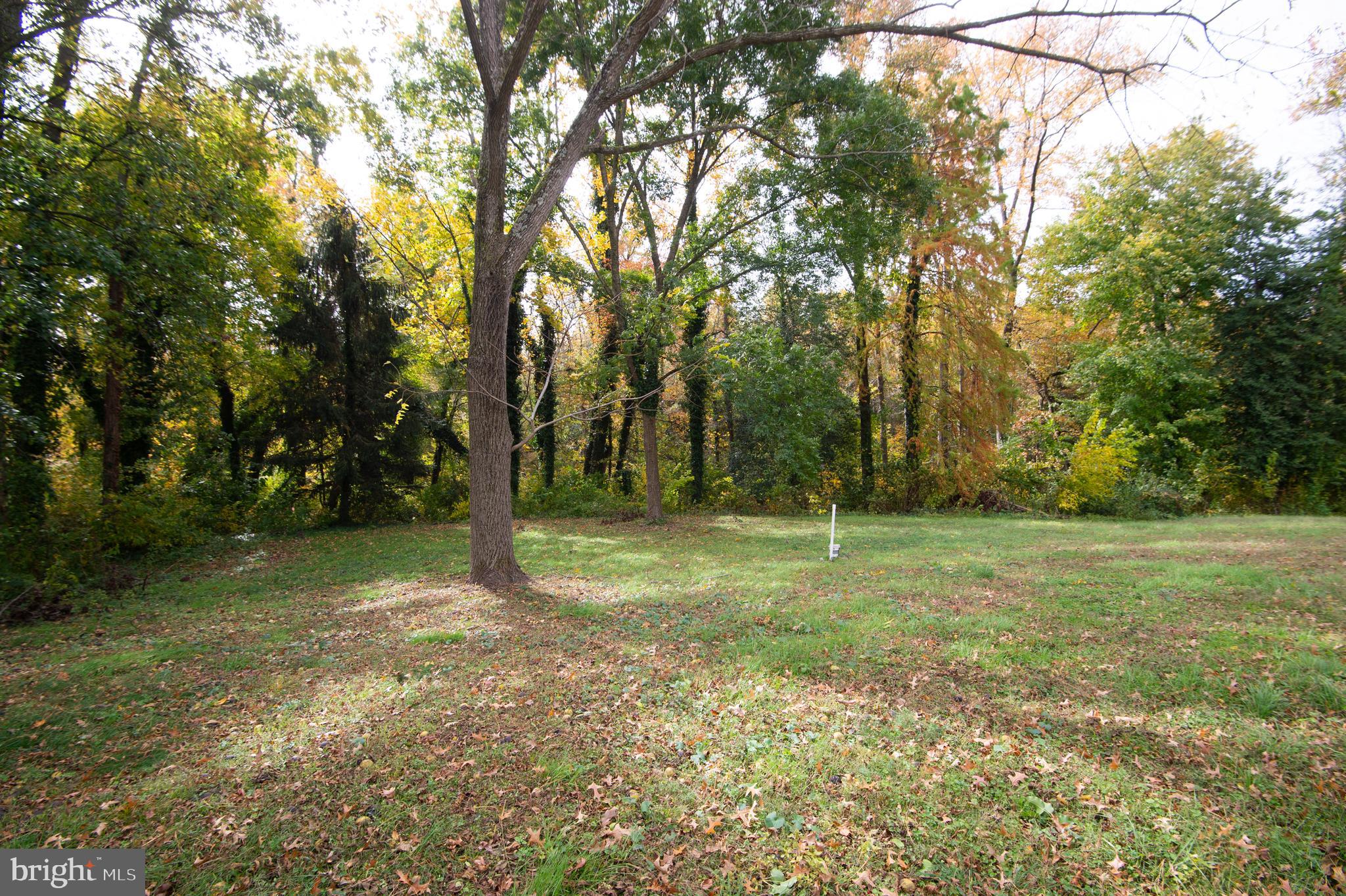 6532 Pine Top Road Hurlock, MD 21643 - Photo 20 of 22