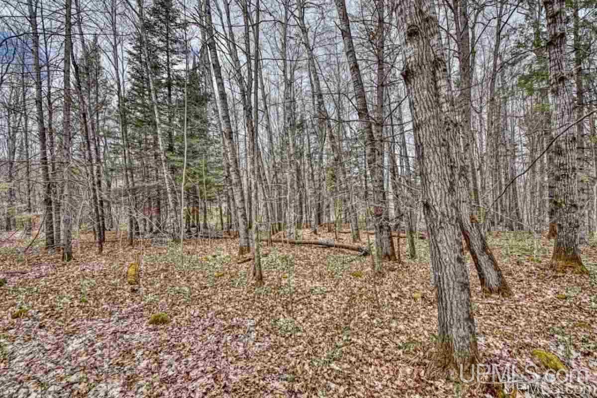 320 Balsam Road Crystal Falls, MI 49920 - Photo 43 of 44