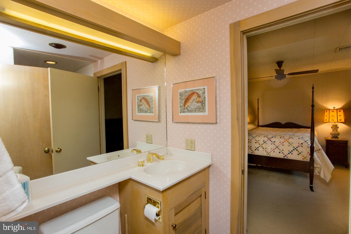 3175 North Sugan Road New Hope, PA 18938 - Photo 58 of 70 Jack 'n Jill bathroom