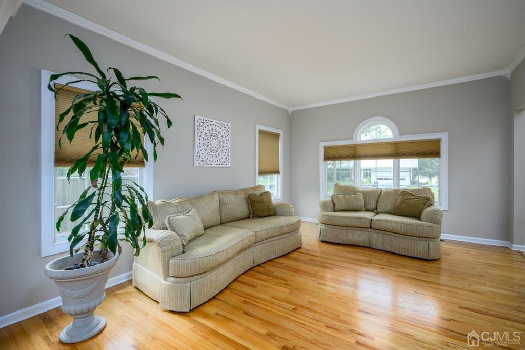 133 Thomas Drive Clark, NJ 07066 - Photo 6 of 30 a living room with furniture and a potted plant