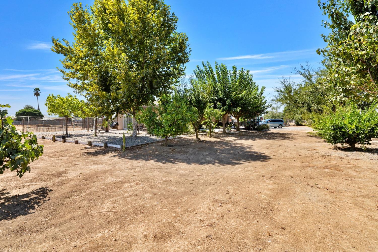8177 Road 32 Madera, CA 93637 - Photo 2 of 2 a view of yard with tree