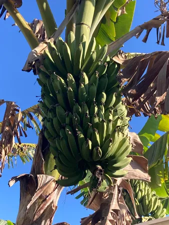 $395,000 | 3112 Southeast 24th Street, Okeechobee, FL 34974