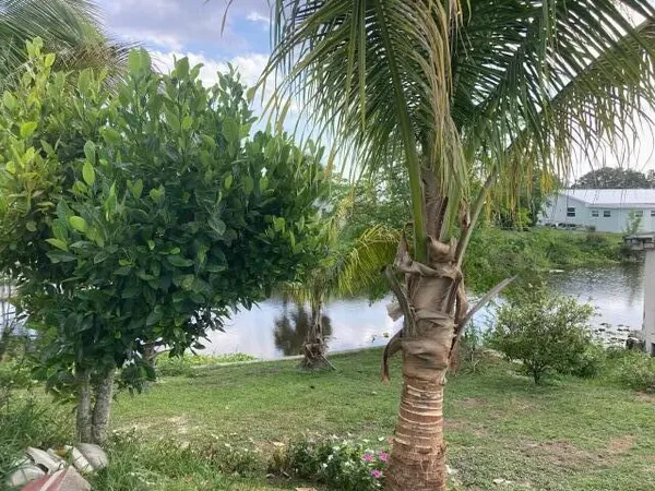 $395,000 | 3112 Southeast 24th Street, Okeechobee, FL 34974