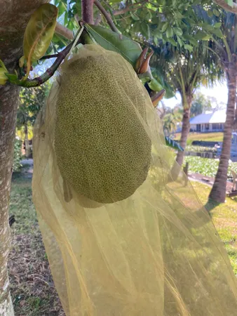 $395,000 | 3112 Southeast 24th Street, Okeechobee, FL 34974