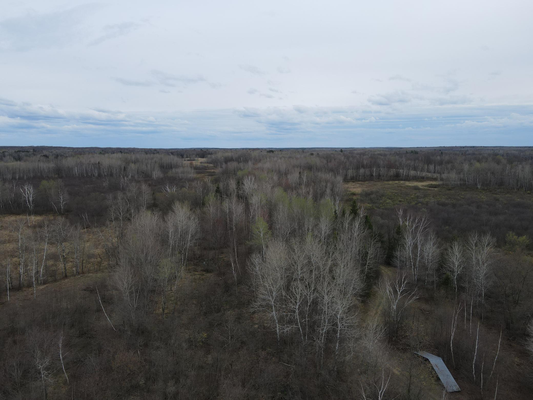 Tbd Silo Road Sarona, WI 54870 - Photo 8 of 22