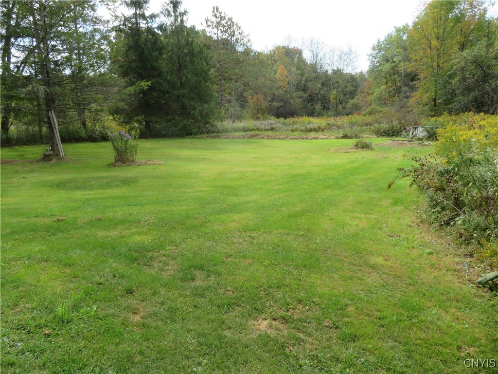 2333 Atwood Road Sempronius, NY 13118 - Photo 25 of 31