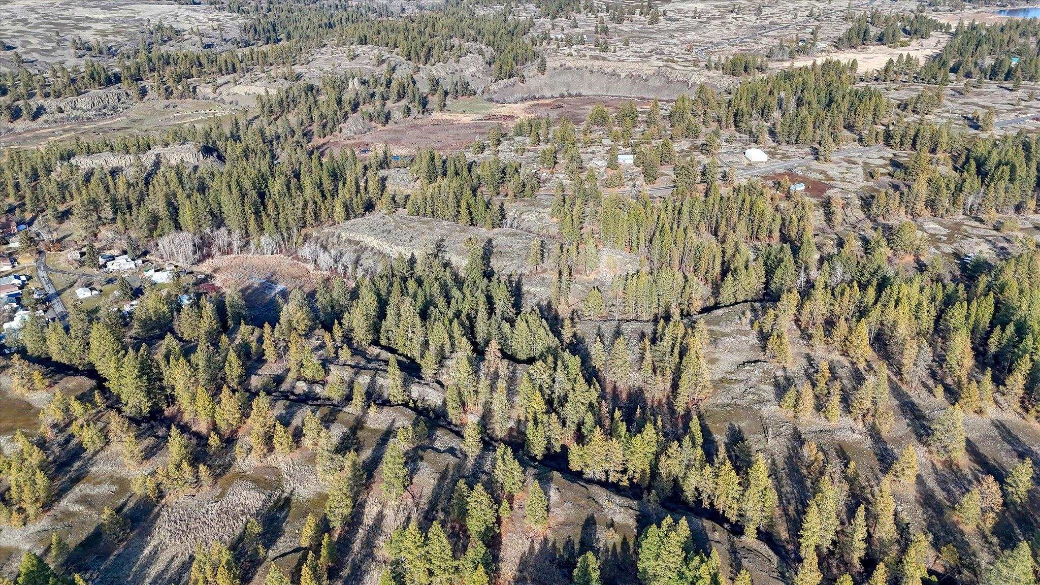 Tbd West Williams Lake Road Cheney, WA 99004 - Photo 15 of 20