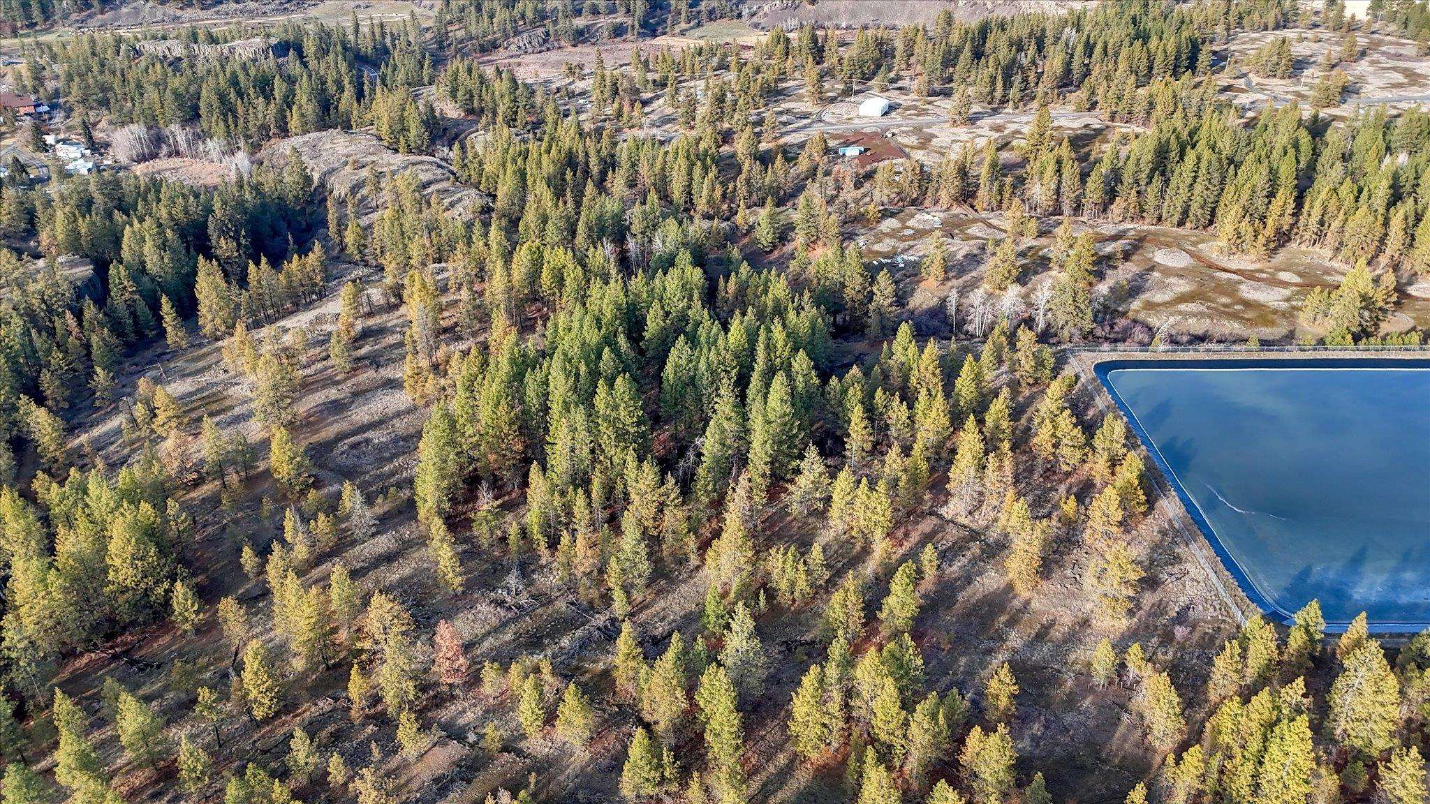 Tbd West Williams Lake Road Cheney, WA 99004 - Photo 18 of 20