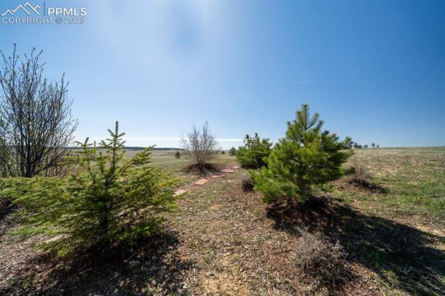 13615 Mc Cune Road Elbert, CO 80106 - Photo 11 of 31