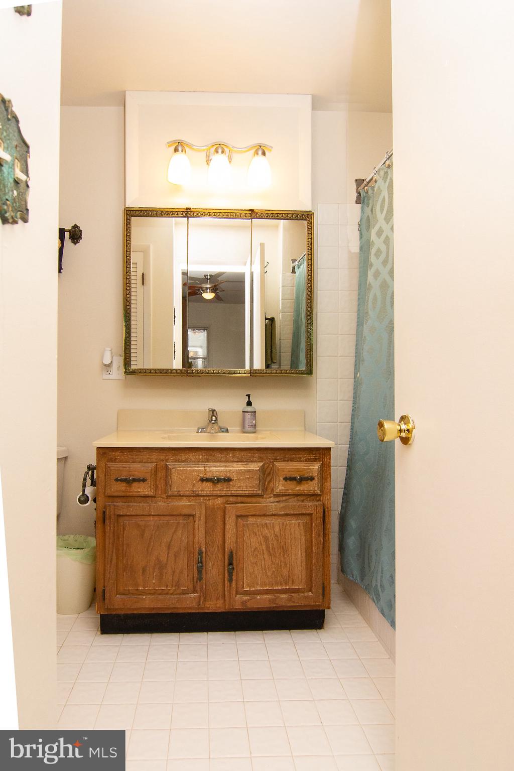 18626 Gunpowder Road Hampstead, MD 21074 - Photo 49 of 66 a bathroom with a sink a mirror and a bathtub