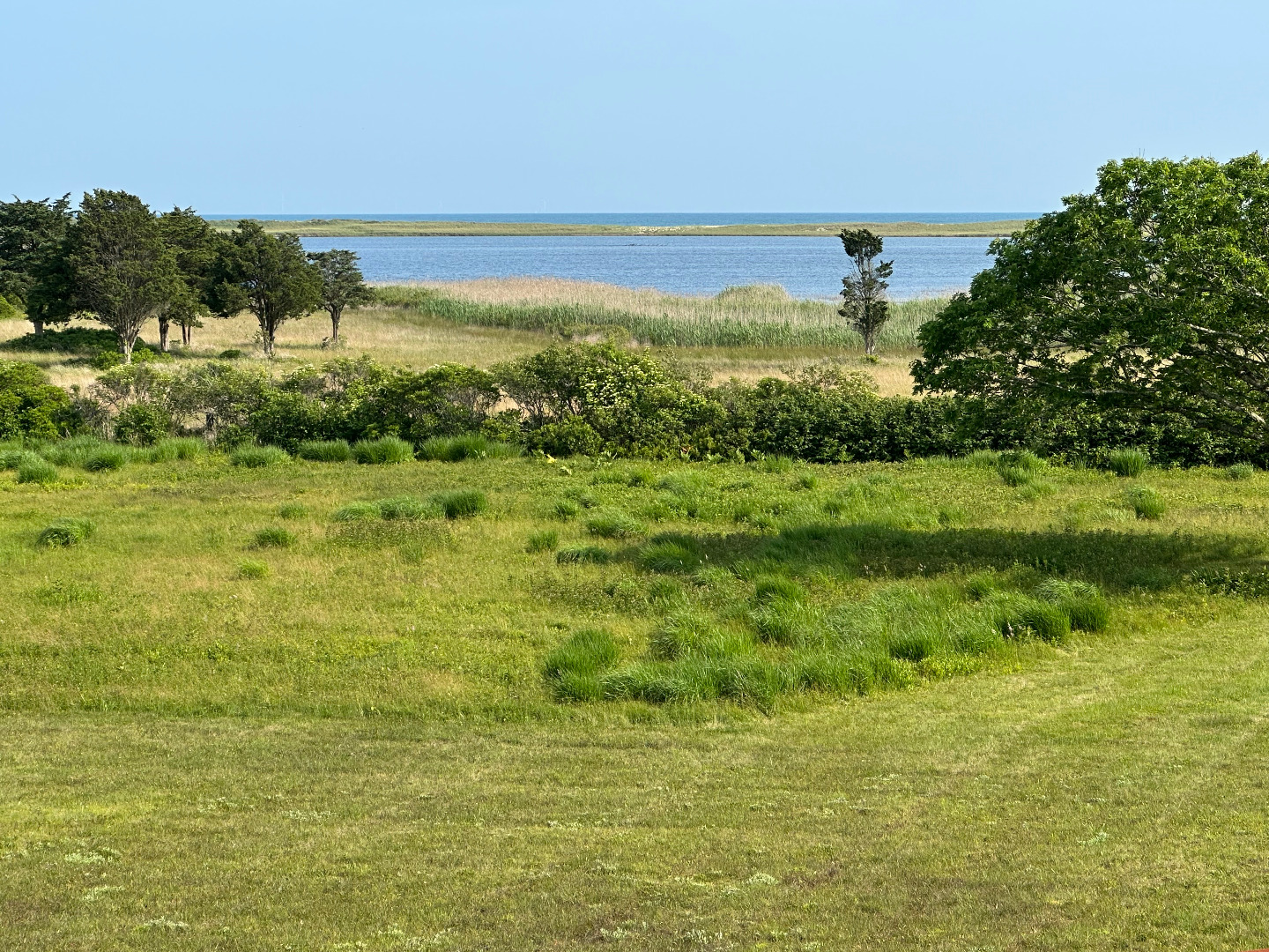 38 Black Point Road Chilmark, MA 02535 - Photo 7 of 38 a view of an ocean from a yard