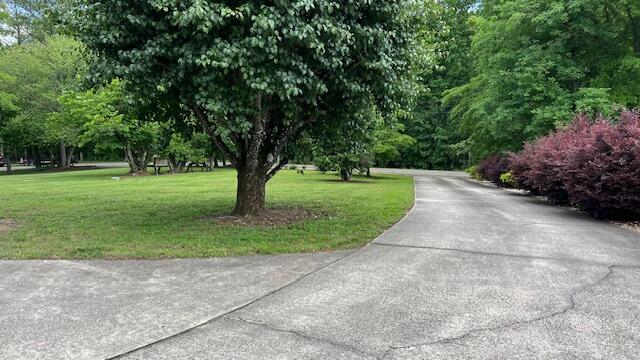 407 Dogwood Lane Decatur, TN 37322 - Photo 77 of 101 IMG_3149