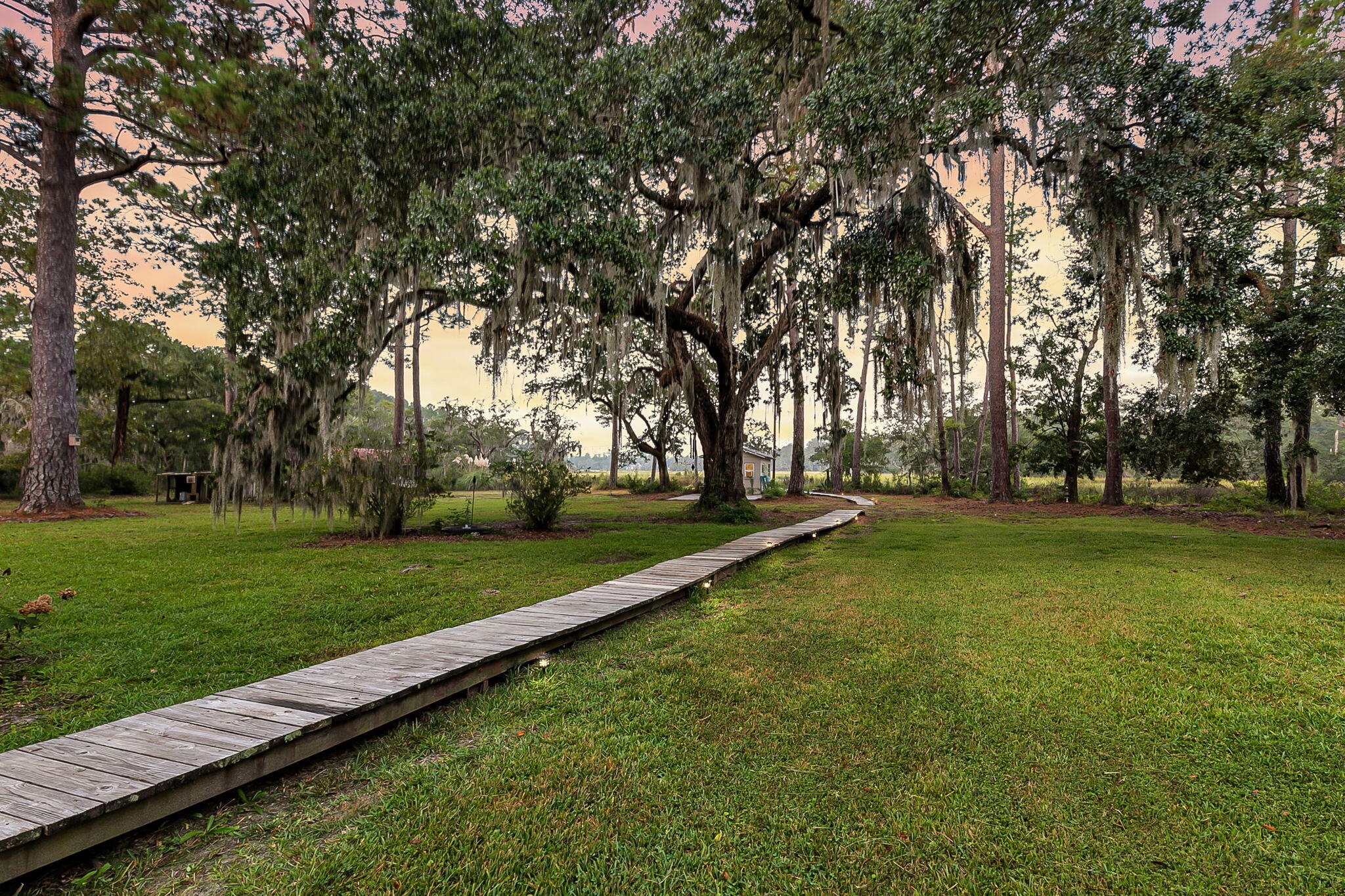 7262 Toogoodoo Road Meggett, SC 29449 - Photo 41 of 51 CREM - 7262 Toogoodoo Twilights-3