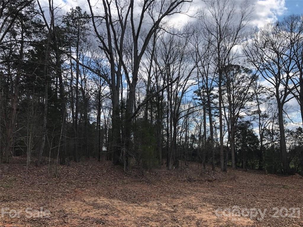 2.824-ac Hunter Road Richburg, SC 29729 - Photo 3 of 3 Gallery Image 3