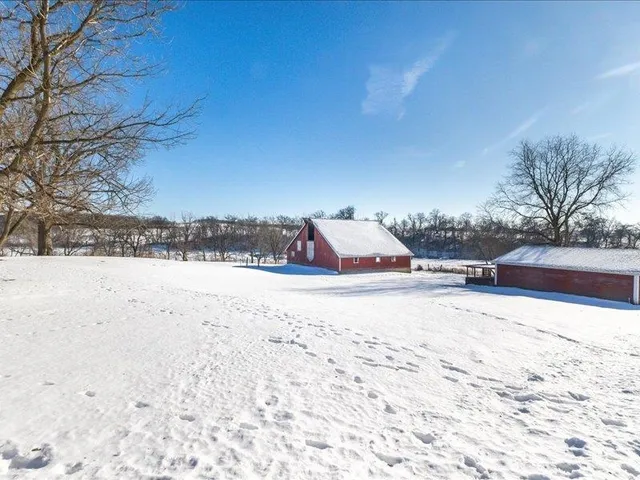a outdoor space with lots of trees