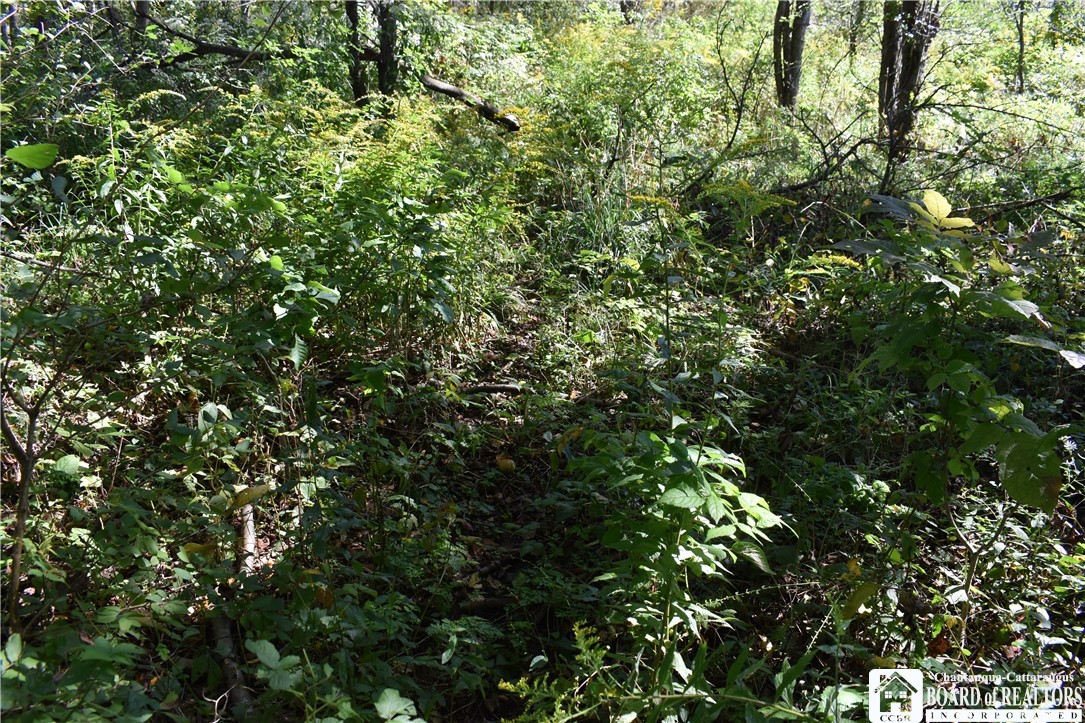 Round Top Road Forestville, NY 14062 - Photo 11 of 20 Gallery Image 11