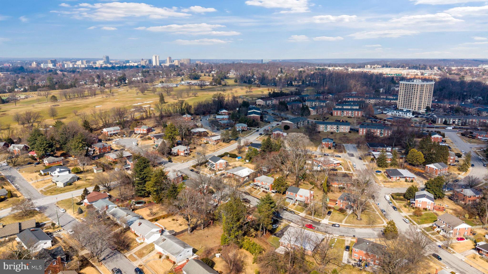 1306 Brixton Road Baltimore, MD 21239 - Photo 46 of 50 Charming suburban landscape with city skyline.