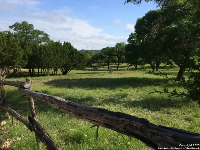 a view of a lake with a yard and large trees
