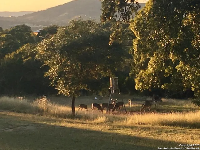 a view of lake with mountain