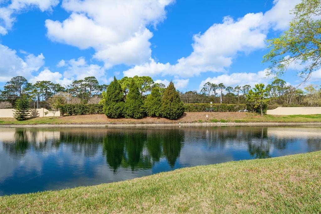 1801 East Lake Road South, Unit 10D Palm Harbor, FL 34685 - Photo 22 of 27 a view of a lake with a yard