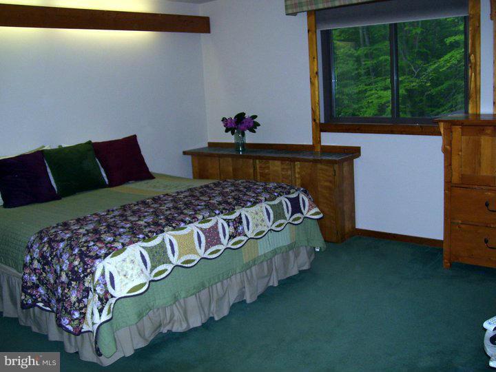 335 Potomac Run Road Fredericksburg, VA 22405 - Photo 21 of 29 Bath (Master)