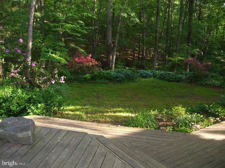 335 Potomac Run Road Fredericksburg, VA 22405 - Photo 7 of 29 Exterior (General)