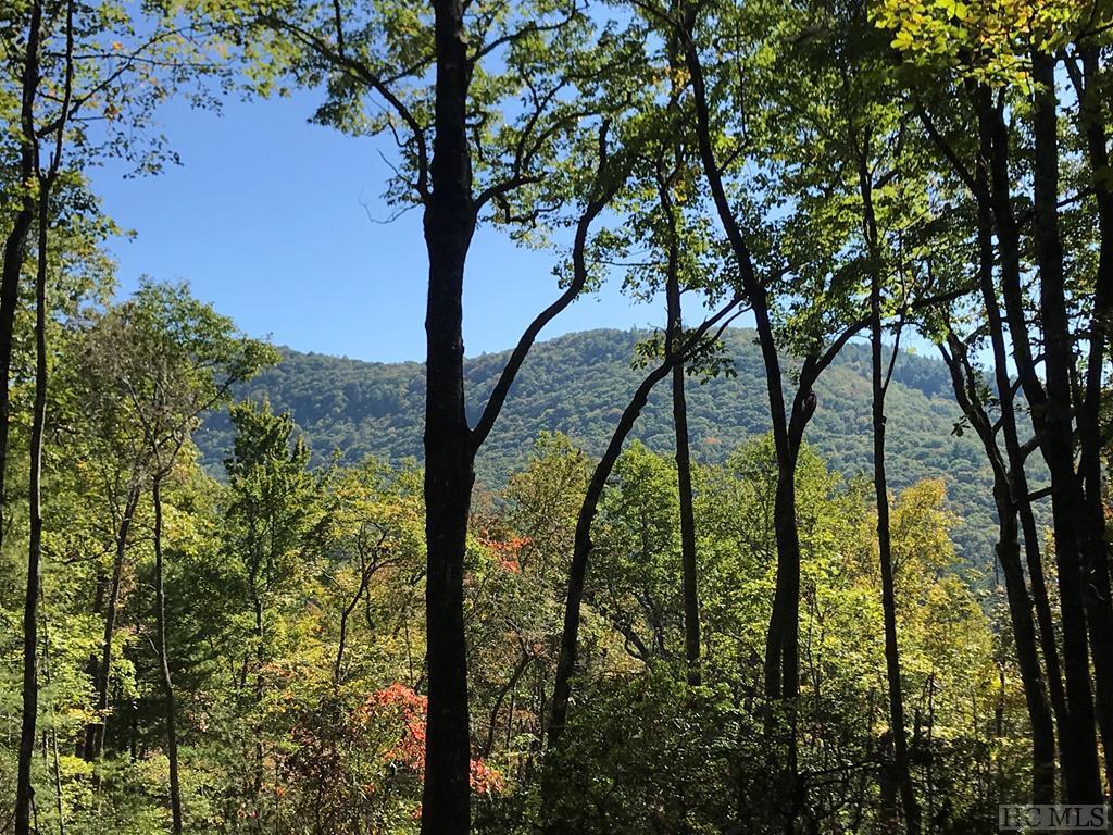 Ct-4 Silver Run Road Cashiers, NC 28717 - Photo 2 of 25 Gallery Image 2